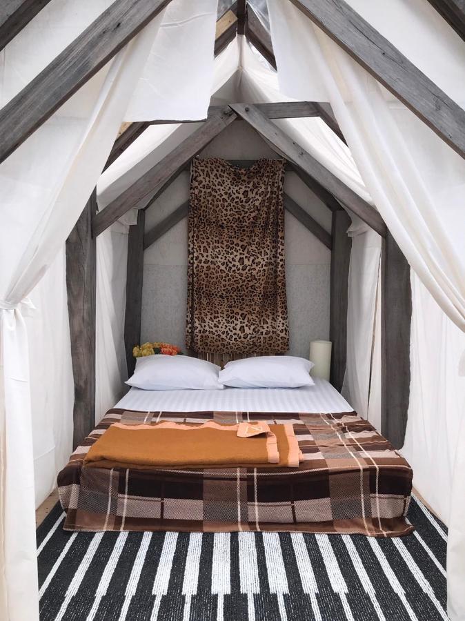 Terre Terrace Glamping - Doichang Ban Huai Khai Luaran gambar